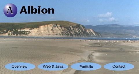 Welcome to Albion.com -- WWW & Java Development Services